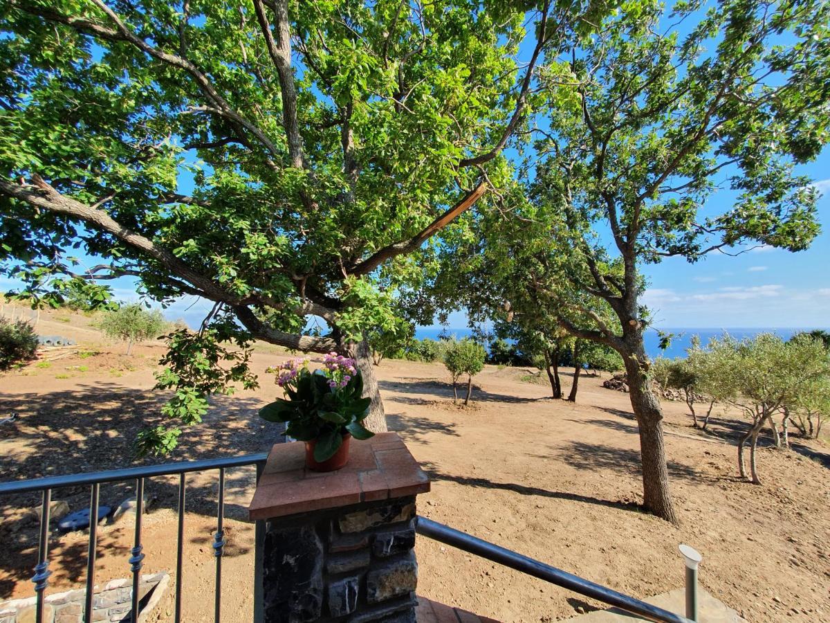 Agriturismo Le Terre Di Venere Acciaroli Exterior photo