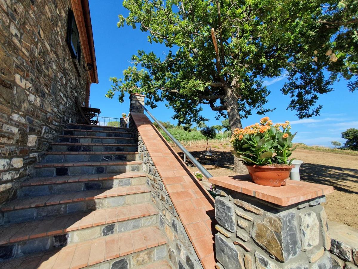Agriturismo Le Terre Di Venere Acciaroli Exterior photo