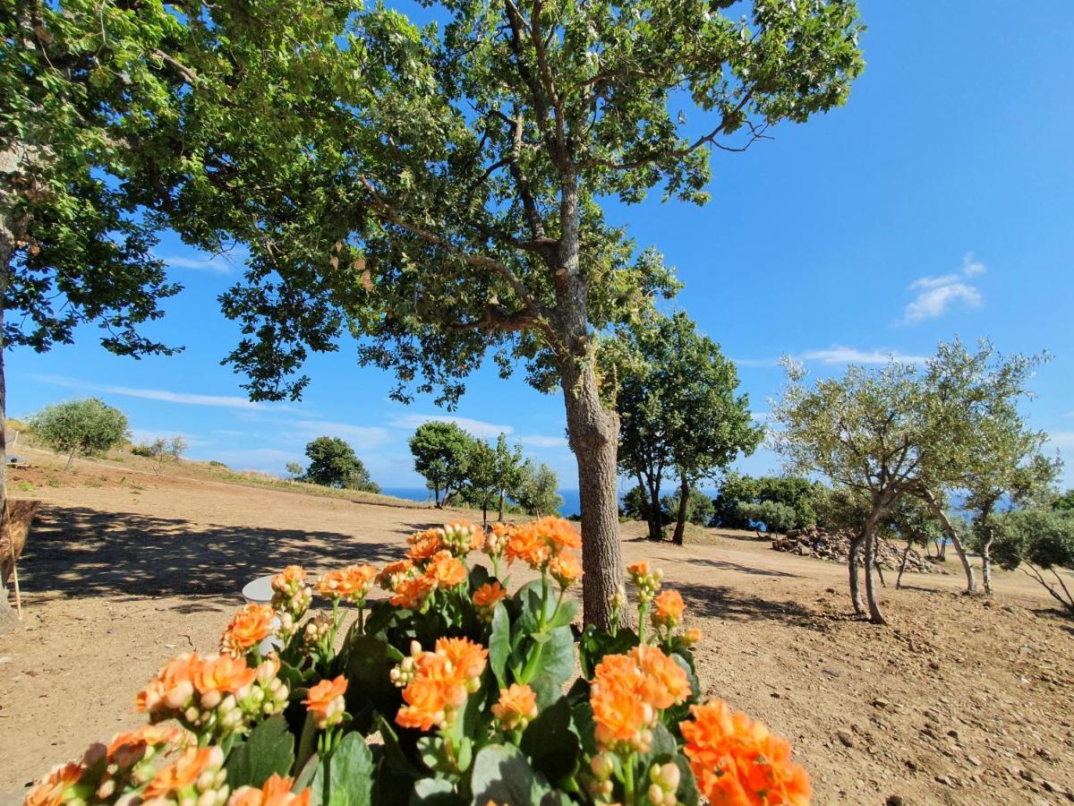 Agriturismo Le Terre Di Venere Acciaroli Exterior photo