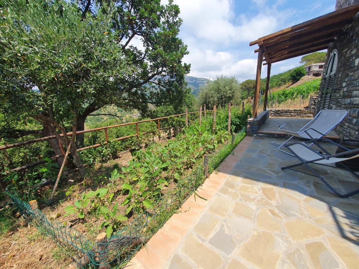 Agriturismo Le Terre Di Venere Acciaroli Exterior photo