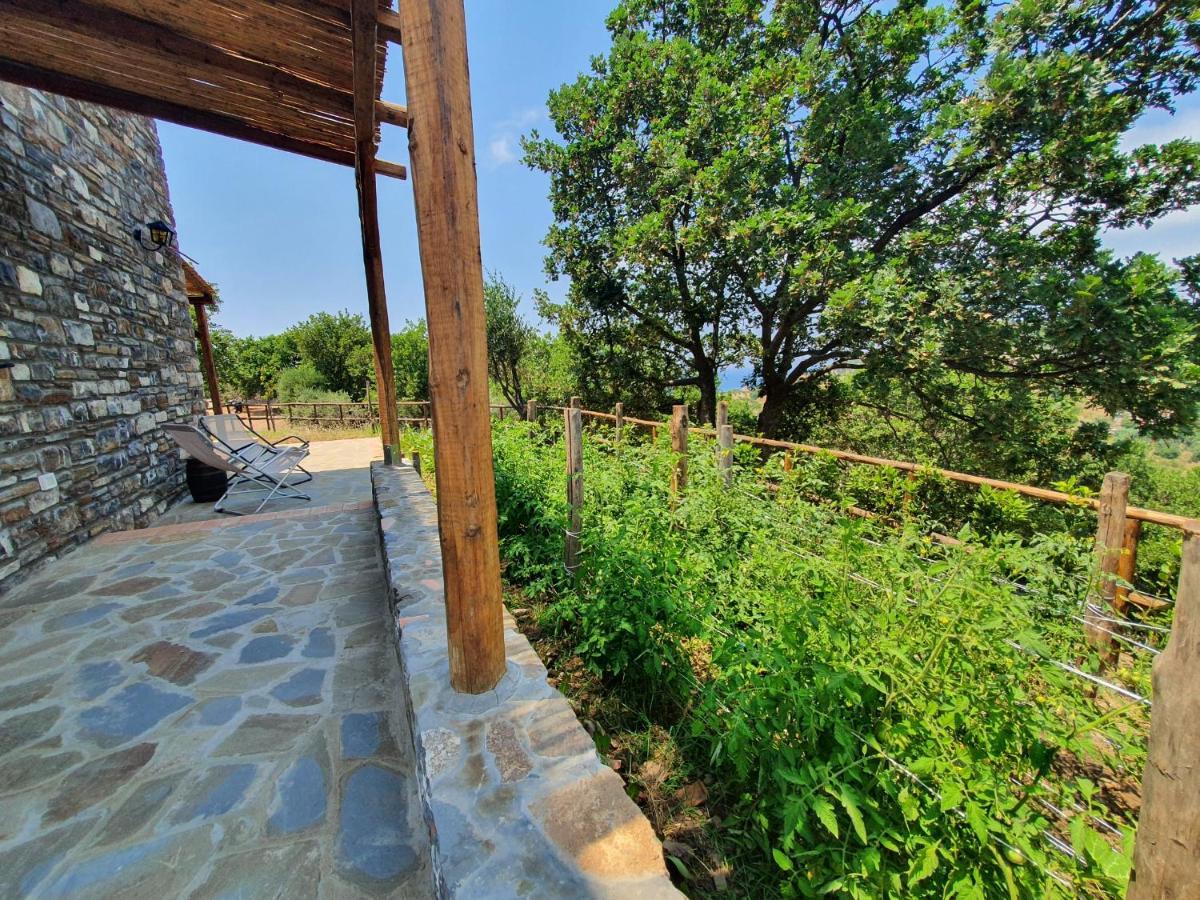 Agriturismo Le Terre Di Venere Acciaroli Exterior photo