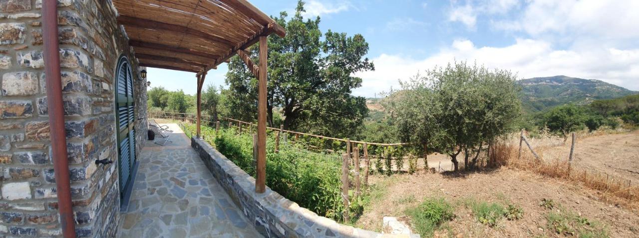 Agriturismo Le Terre Di Venere Acciaroli Exterior photo