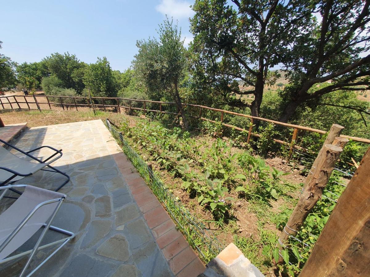 Agriturismo Le Terre Di Venere Acciaroli Exterior photo